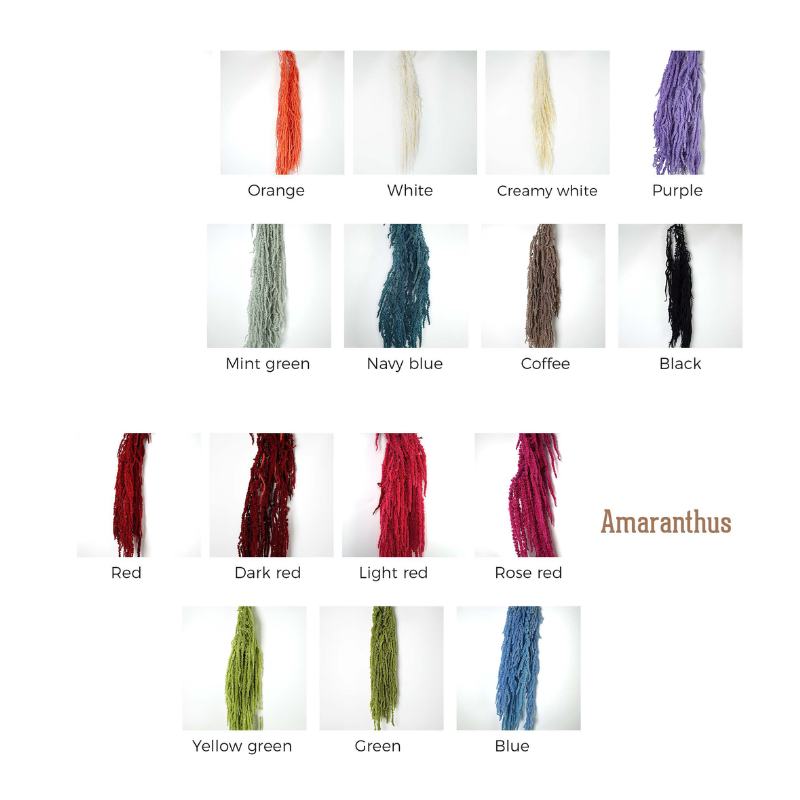 Amaranthus