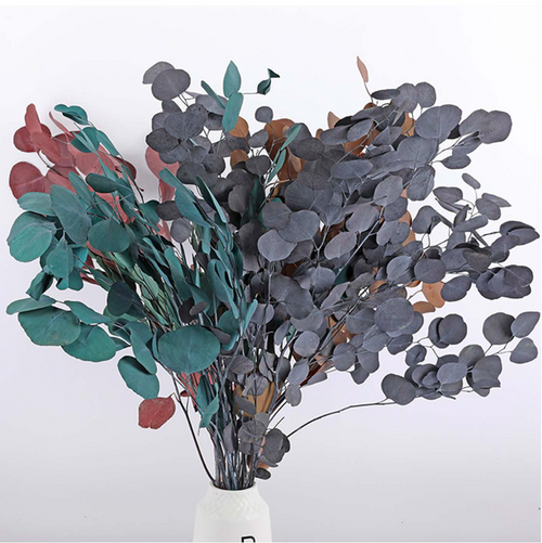 Apple Eucalyptus Leaf