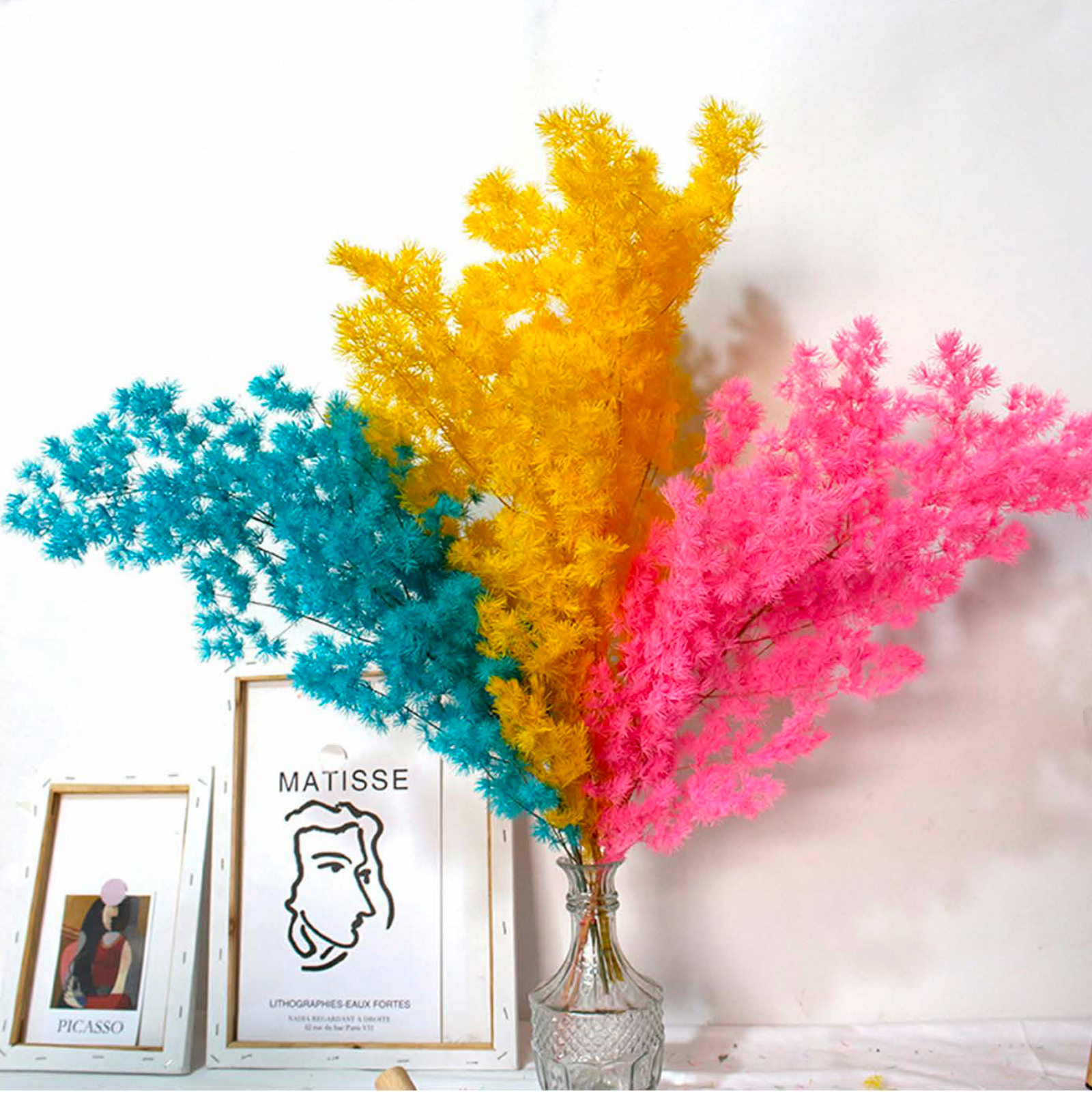 Asparagus Myriocladus