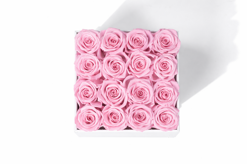 Square Box