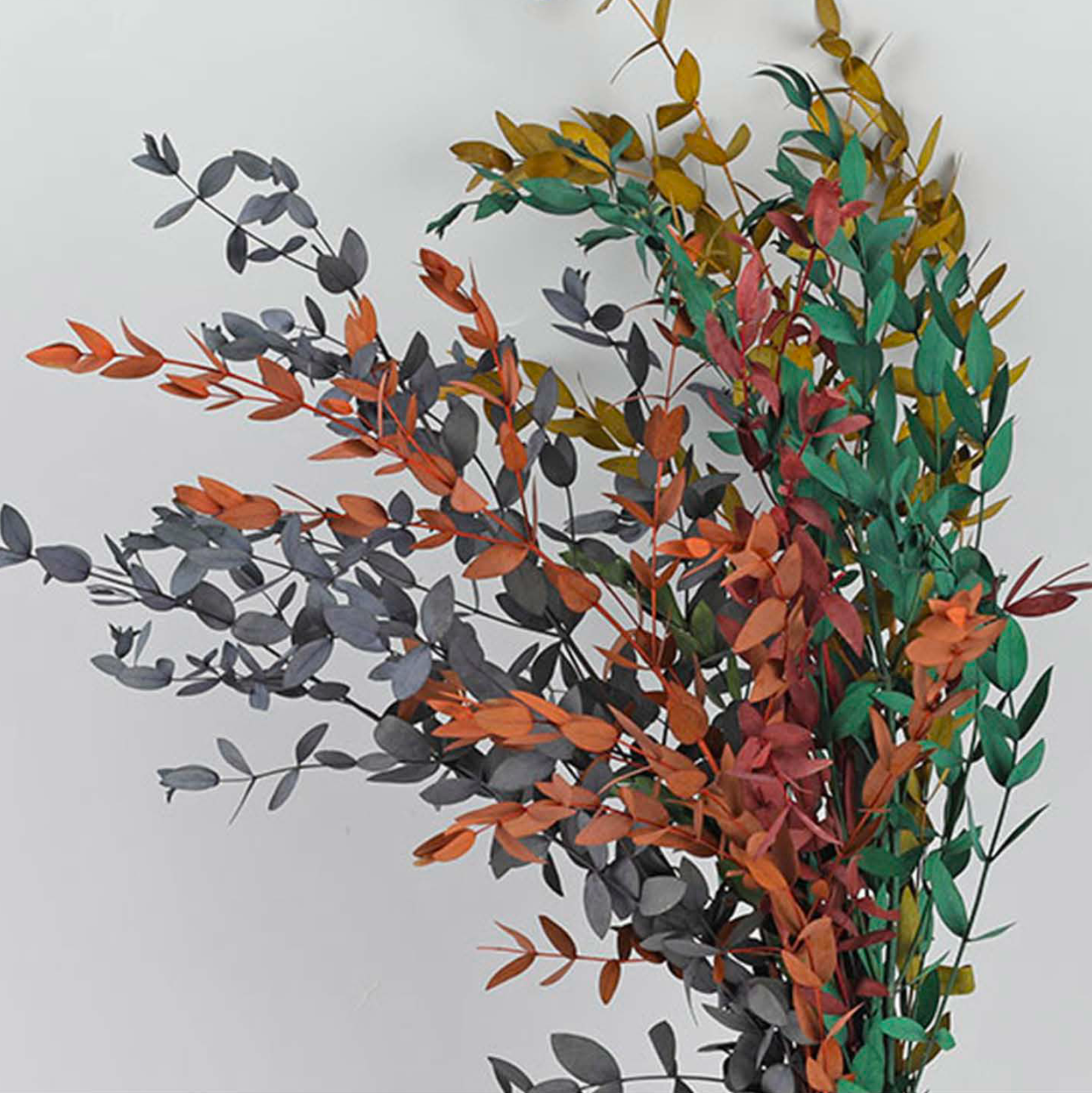 Eucalyptus Leaf Thin Leaf