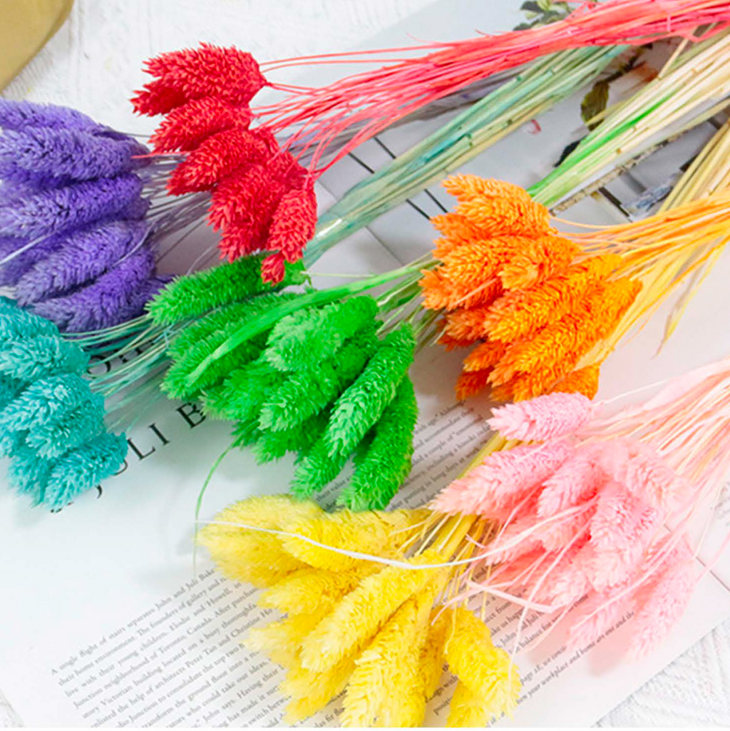 Gem Grass