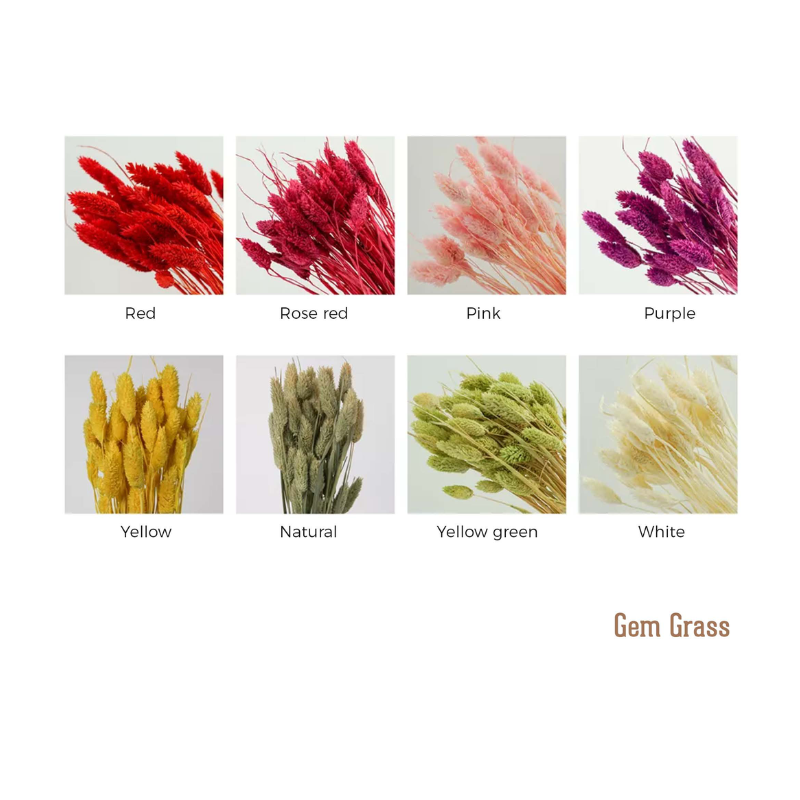 Gem Grass