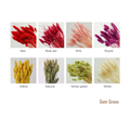 Gem Grass