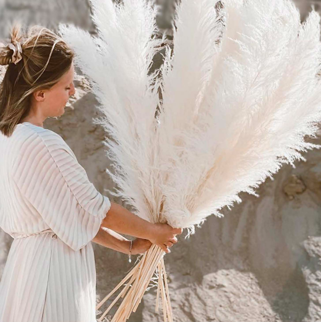 Large Pampas Grass