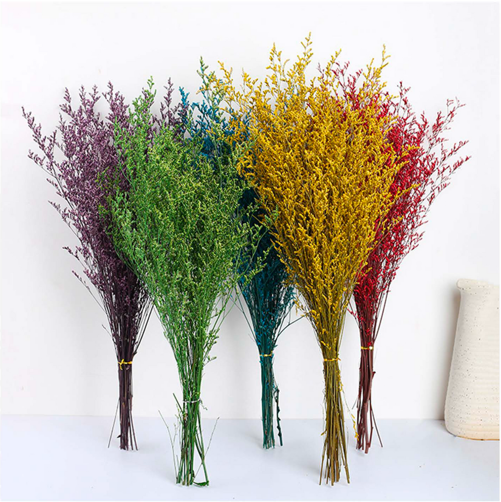 Limonium