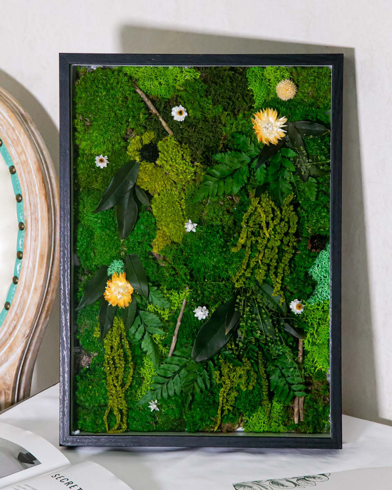 Moss Picture Frame Series