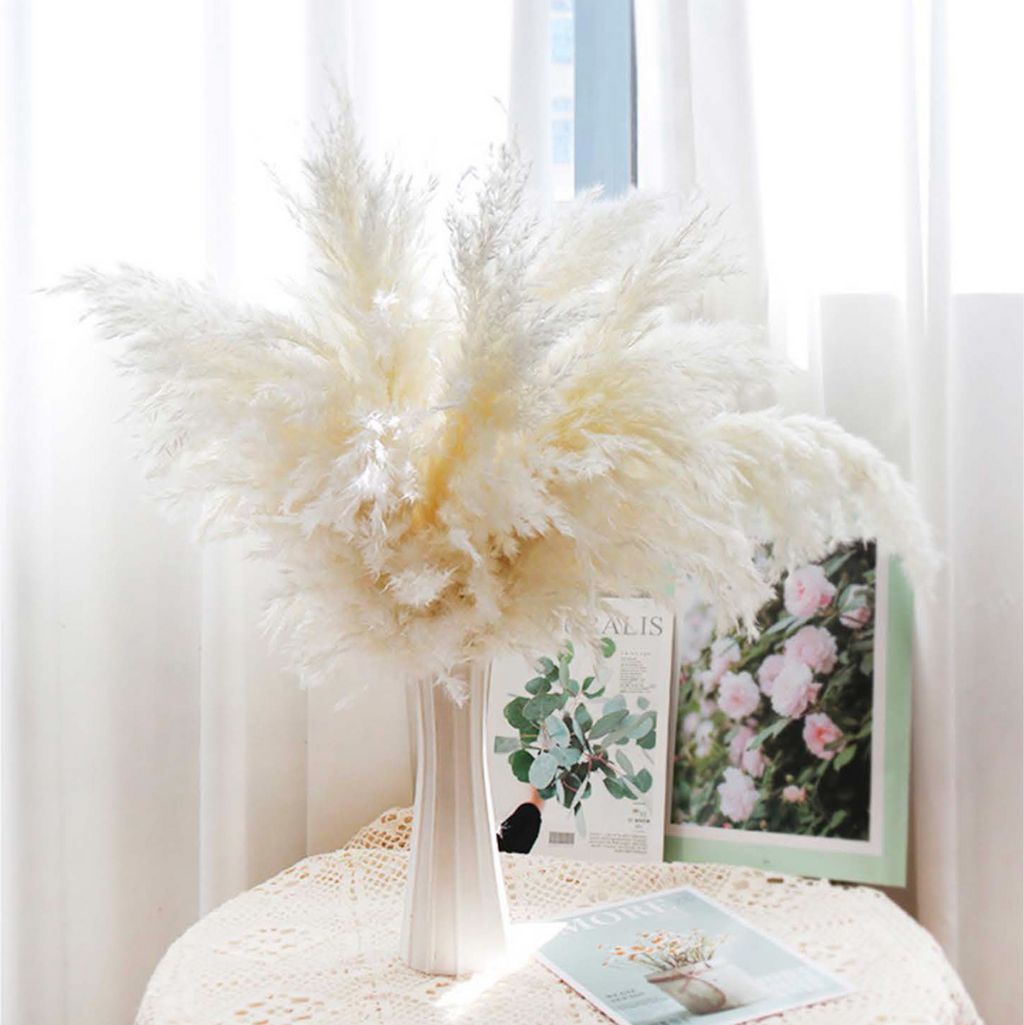 Pampas Grass