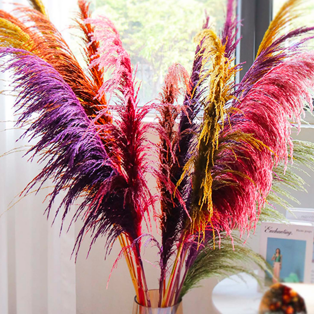 Pampas Iron Reed