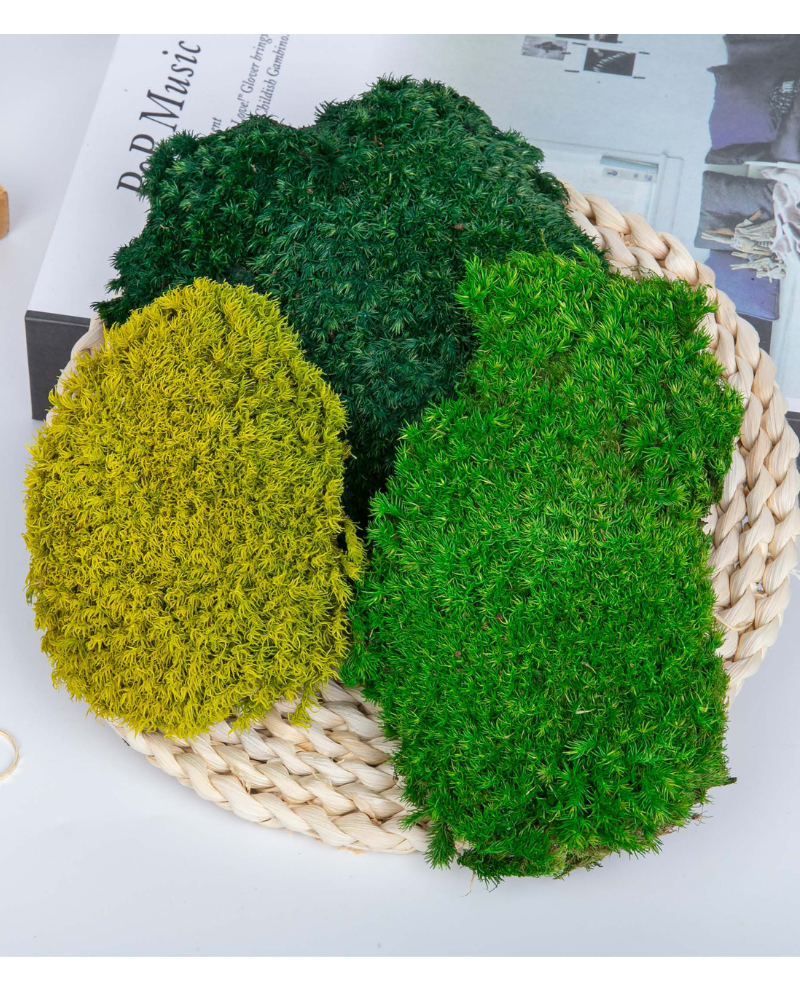 Preserved Moss Pincushion Moss
