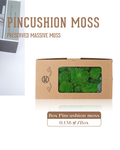 Preserved Moss Pincushion Moss
