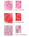 Preserved Hydrangea