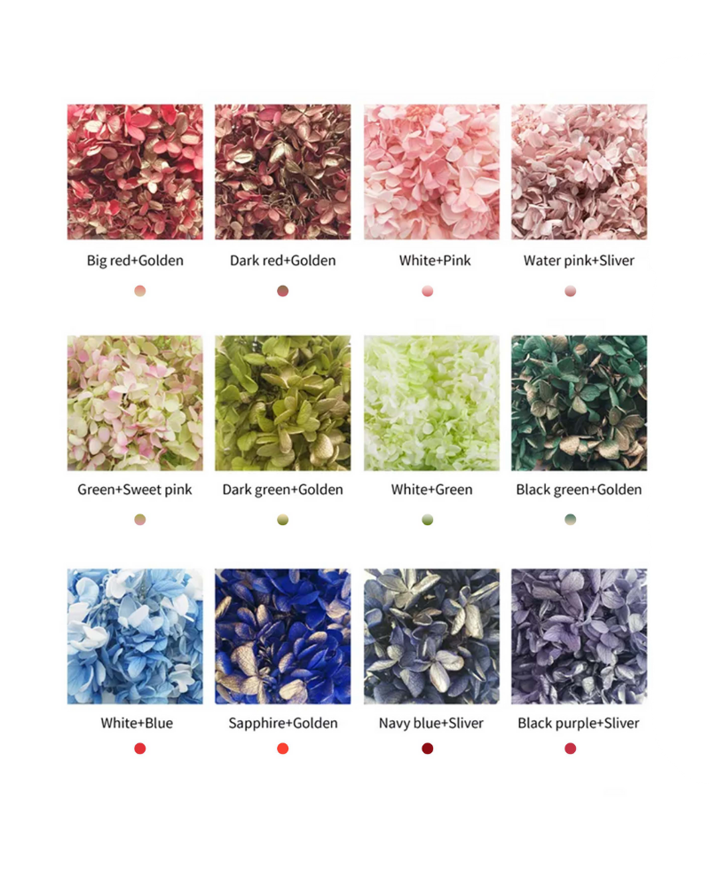 Preserved Hydrangea