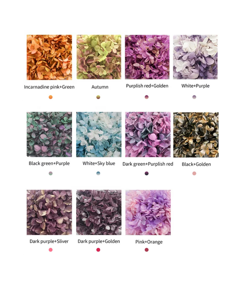 Preserved Hydrangea