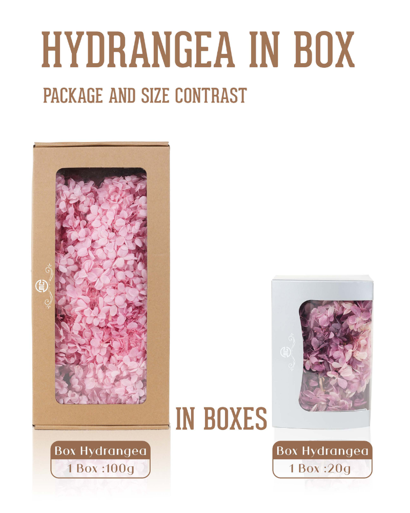 Preserved Hydrangea
