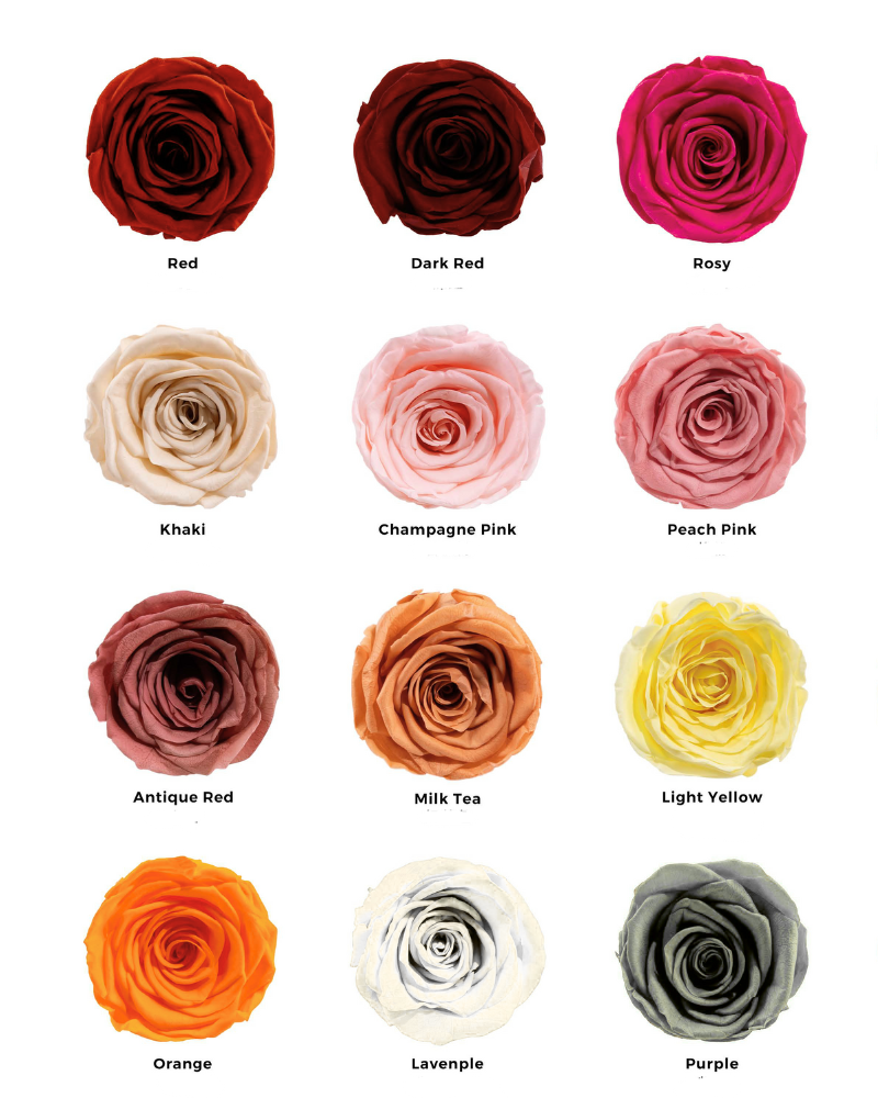 Preserved Rose