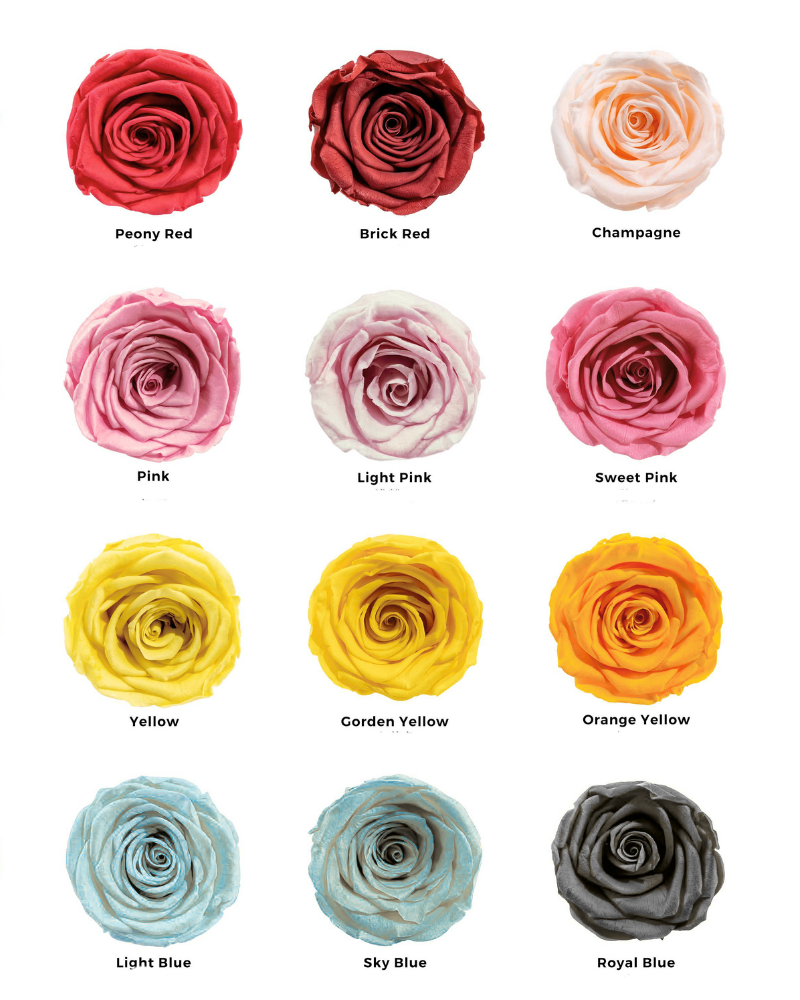 Preserved Rose