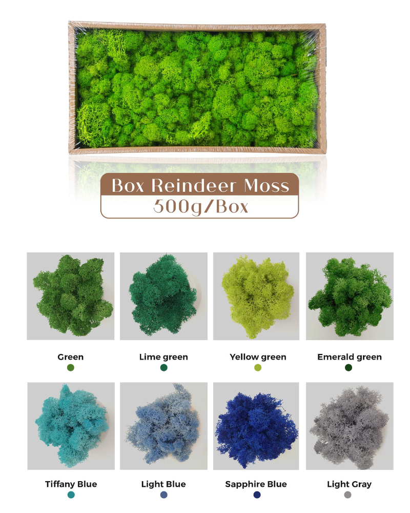 Preserved Moss Reindeer Moss