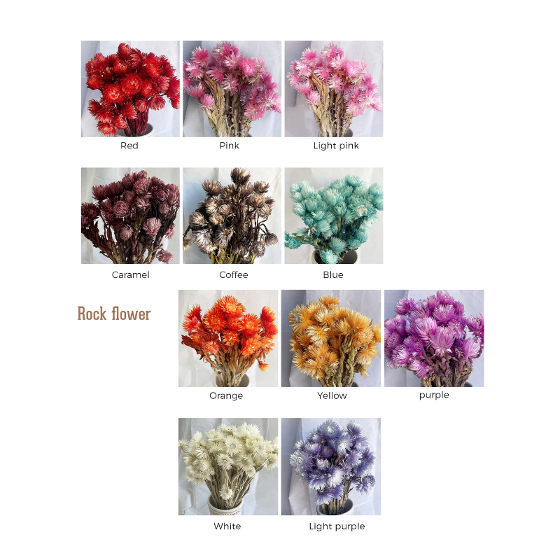 Rock Flower