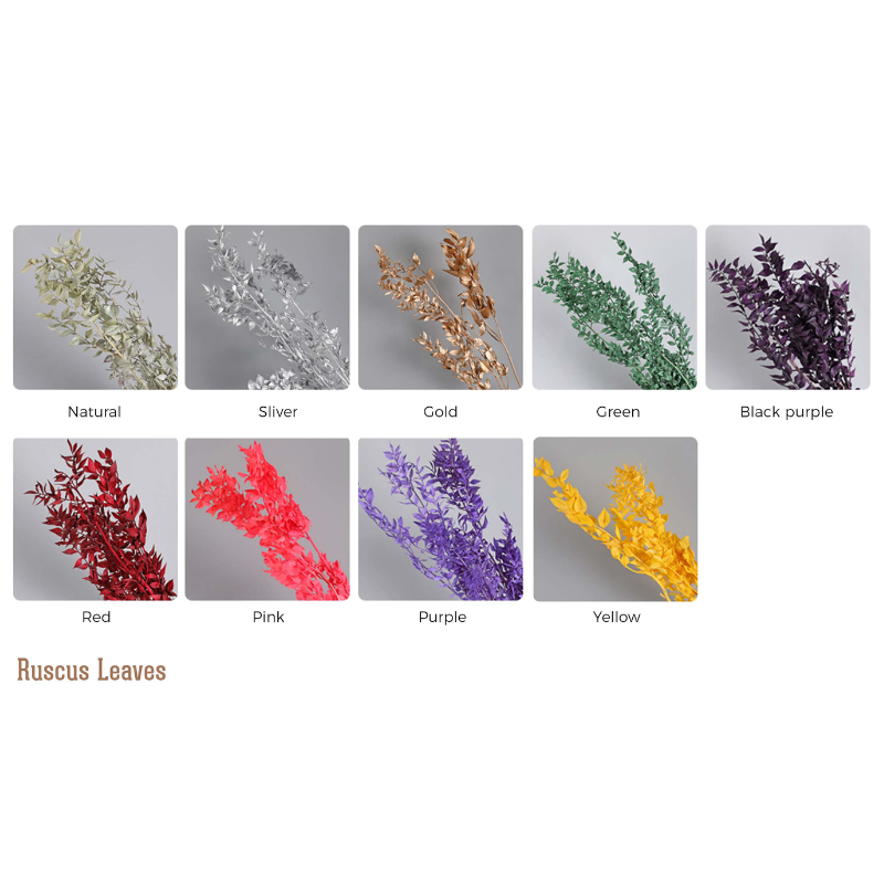 Ruscus Leaves