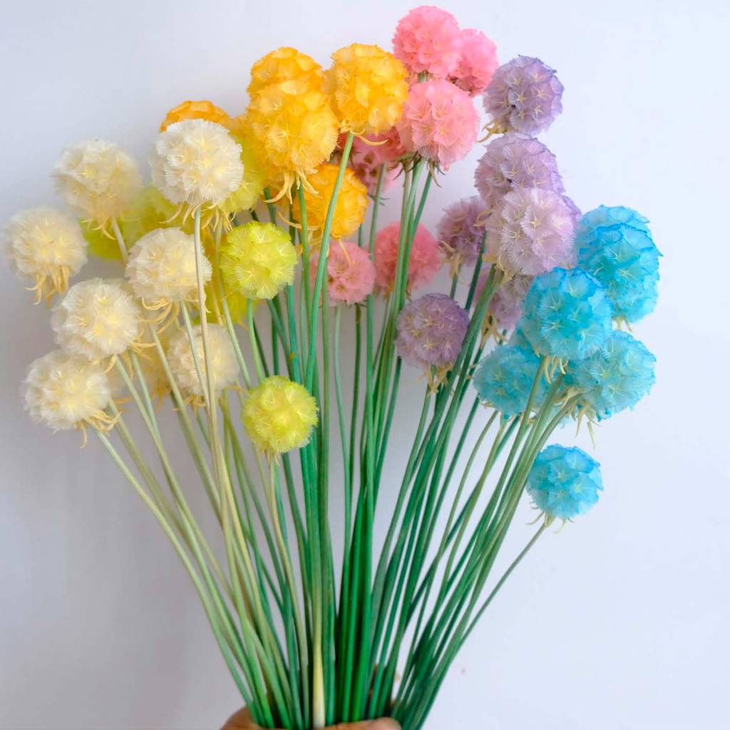 Windmill Fruit Flower