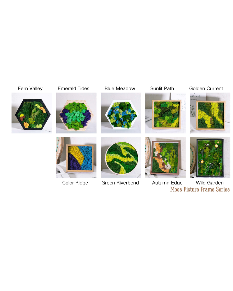 Moss Picture Frame Series
