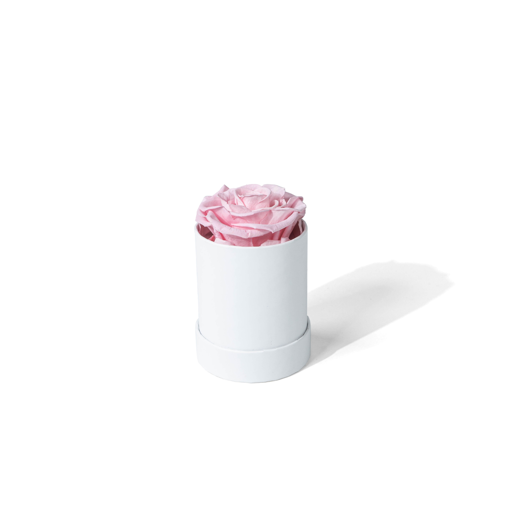Round Box