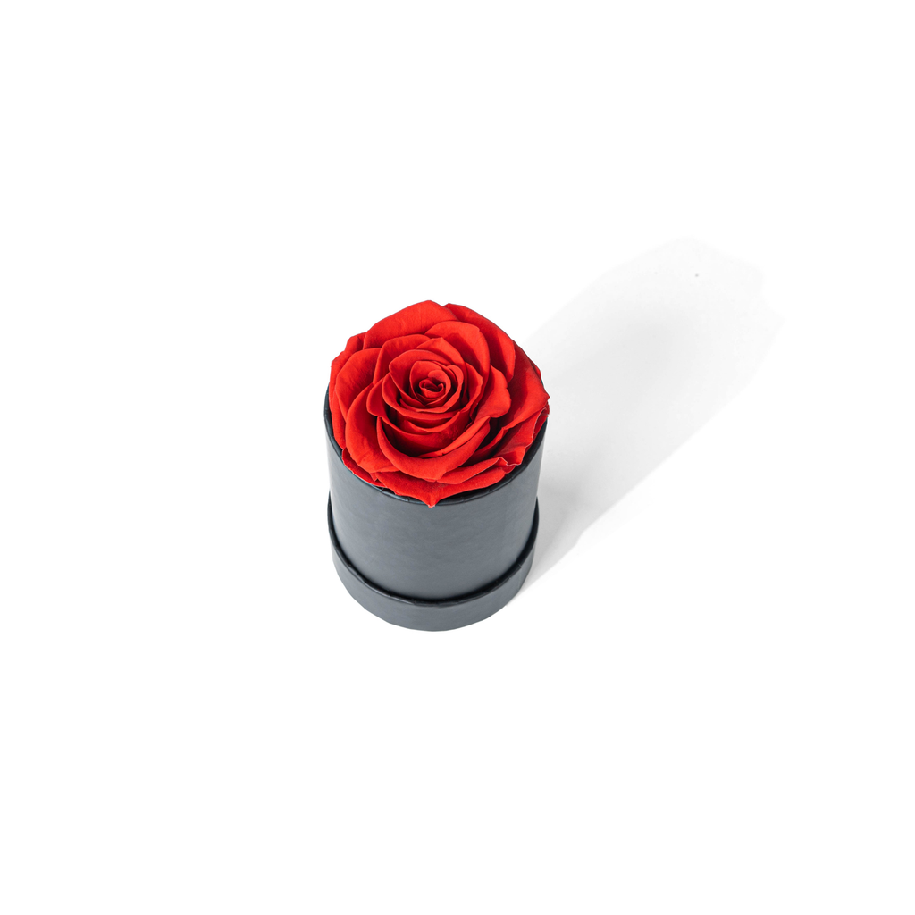 Round Box