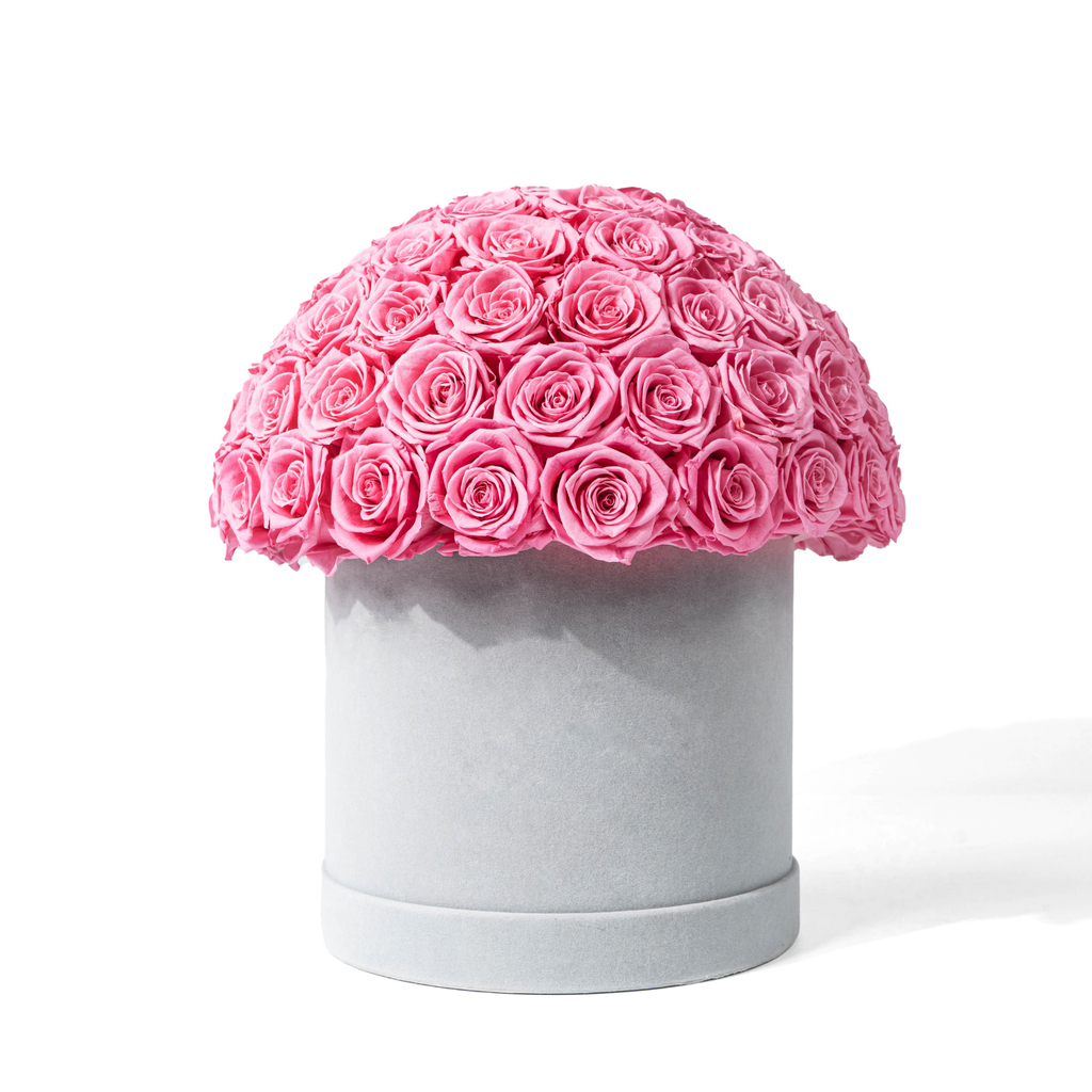 Round Dome Shape