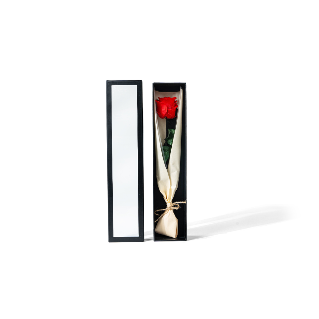 Single Rose (Paper)