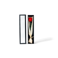 Single Rose (Paper)
